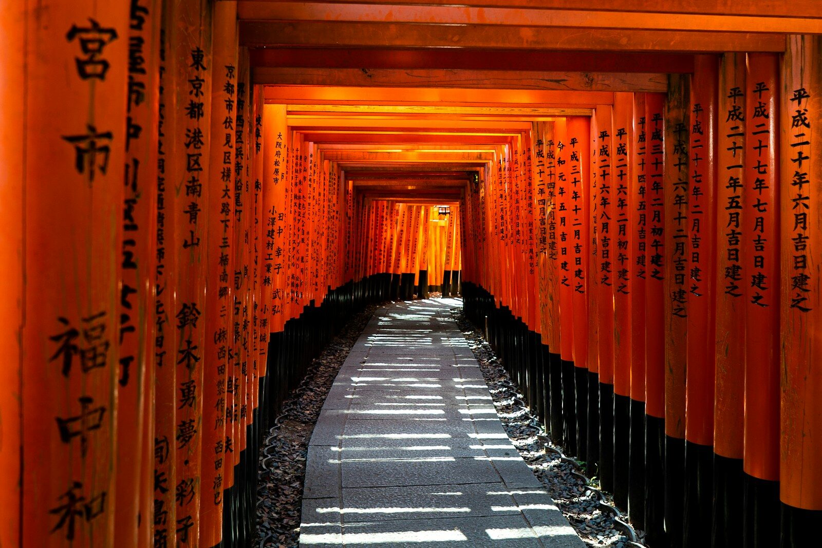 Autumn in Japan: Temples, Onsen & Golden Leaves | 17 November 2026