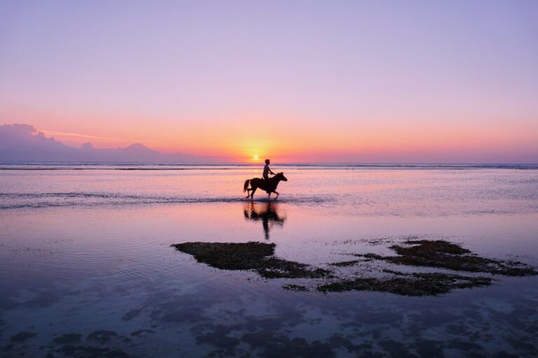 Guia de Viagem das Ilhas Gili