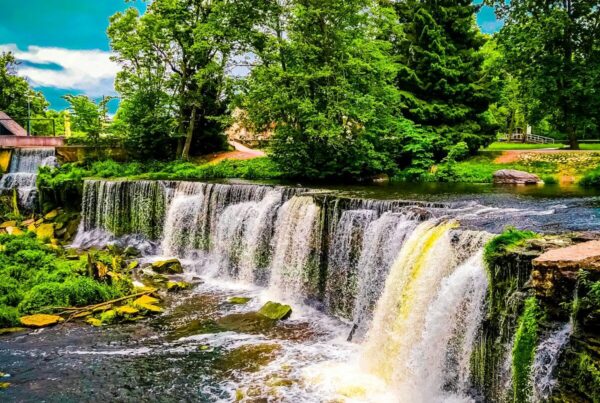 Grüne Bäume am Flussufer unter blauem Himmel am Tag