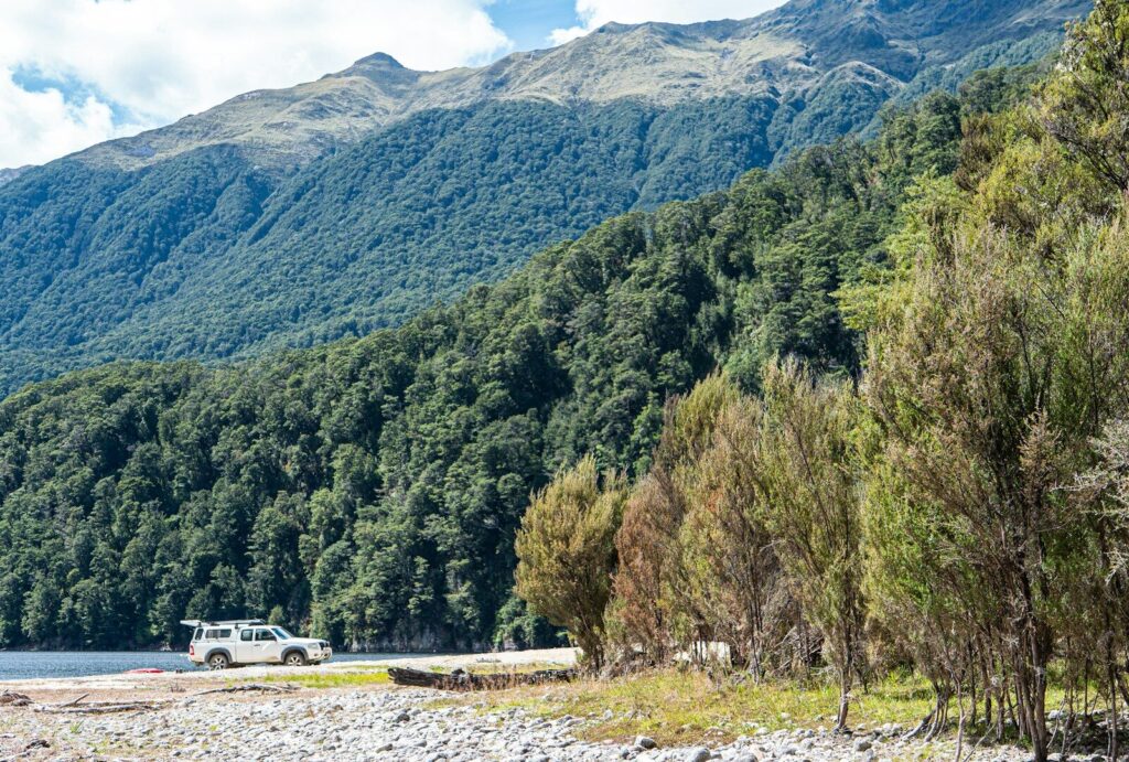 a truck parked in front of a forest
