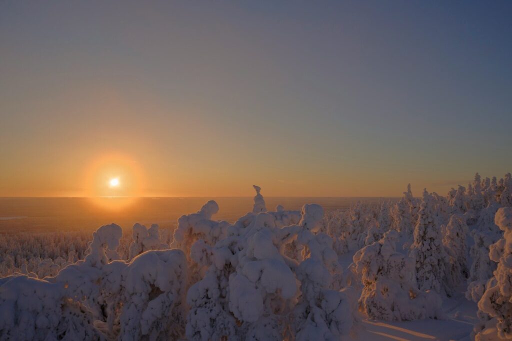 Árvores cobertas de neve sob um céu quente ao pôr do sol.