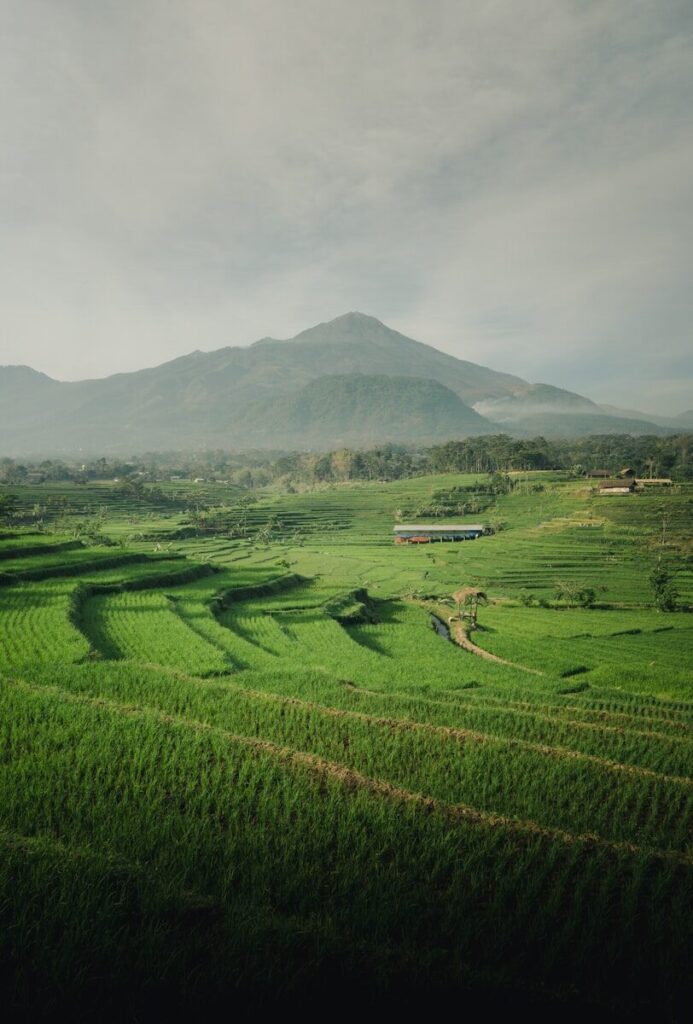 Campo de grama verde perto da montanha sob nuvens brancas durante o dia
