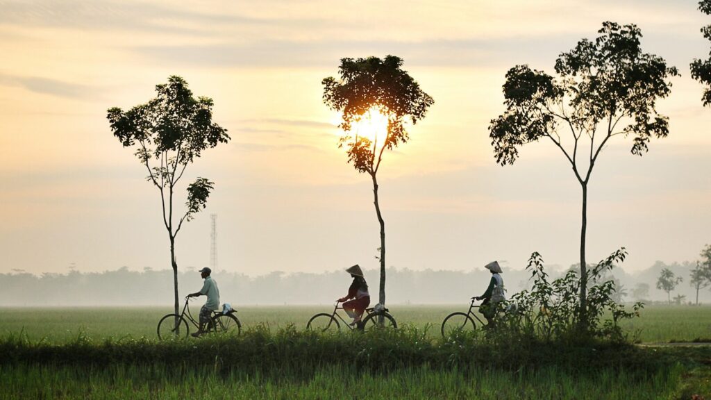 três pessoas andando de bicicleta em um campo de grama verde
