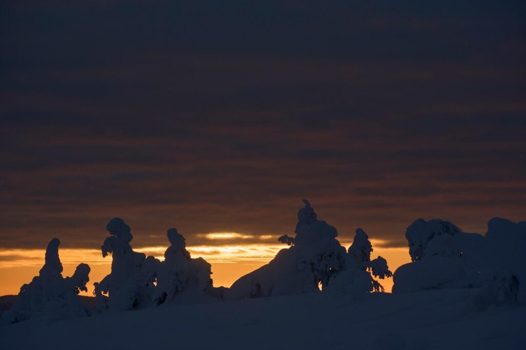 Árvores cobertas de neve contra um céu de pôr do sol dramático