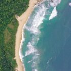 aerial view of seashore near trees during daytime