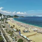people on beach during daytime