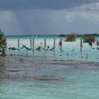 People relaxing in hammocks over turquoise water