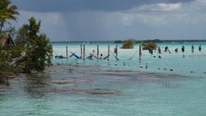 People relaxing in hammocks over turquoise water