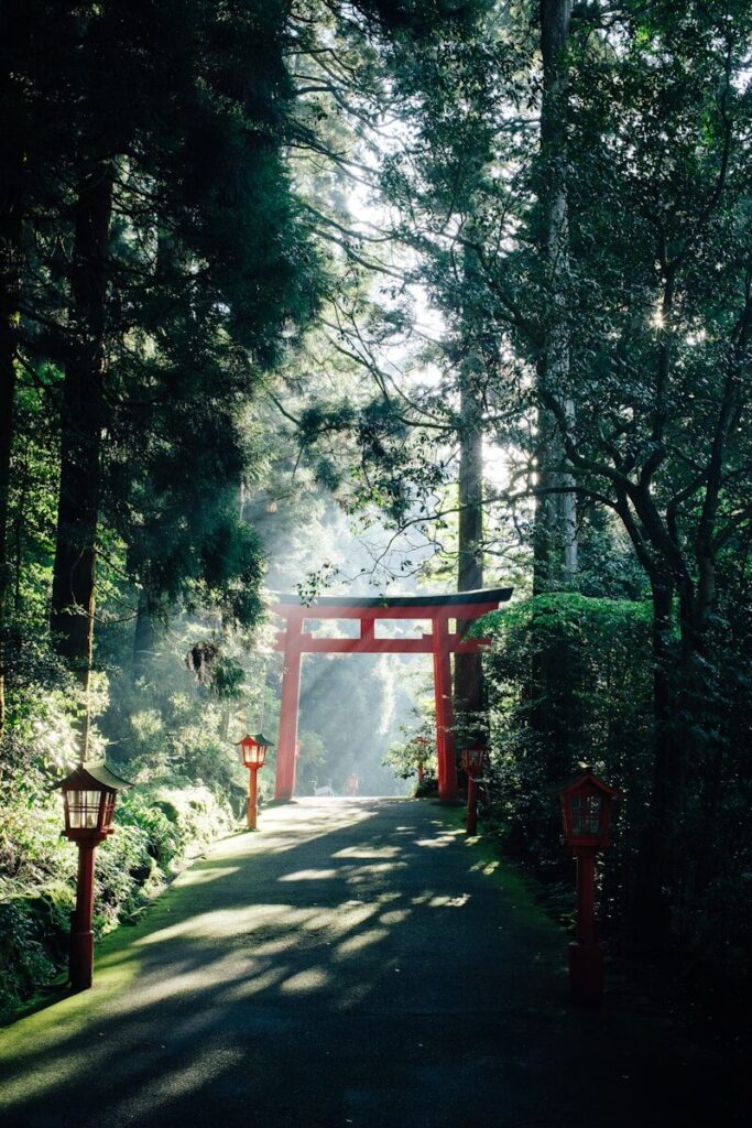 Portão torii vermelho em trilha na floresta