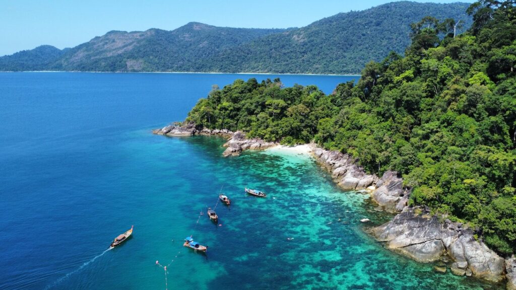 um grupo de barcos flutuando sobre a superfície da água