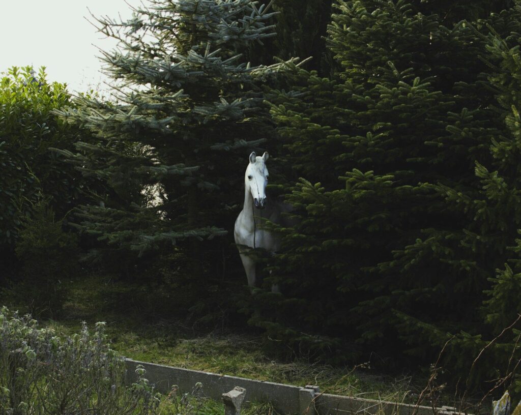 uma estátua branca em uma floresta