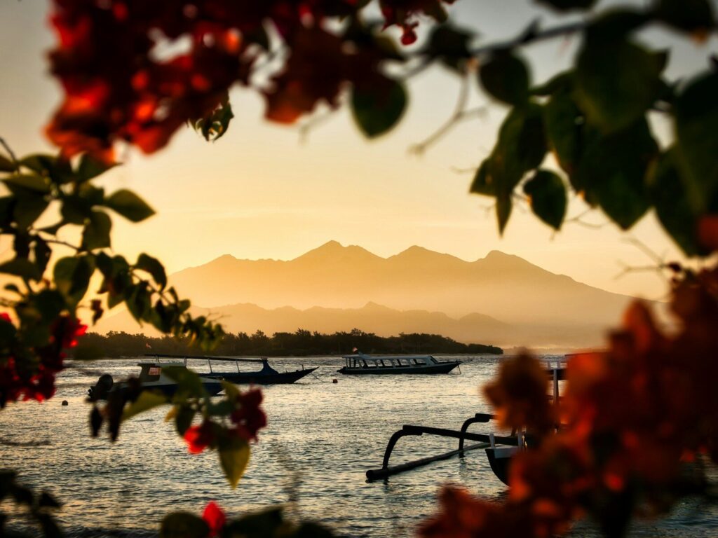 flores vermelhas perto de um corpo d'água durante o pôr do sol