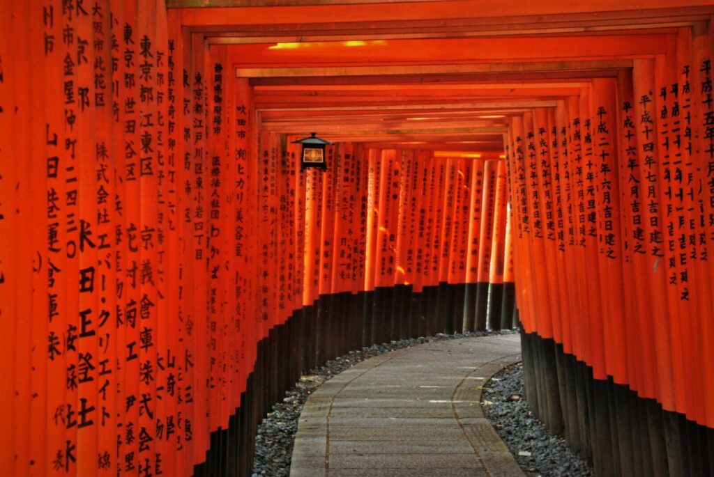 Torii gates ascending the hillside at Fushimi Inari