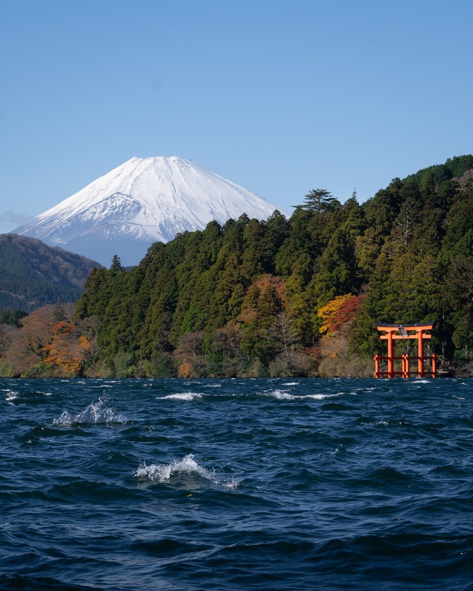 Hanami in Japan: Cherry Blossoms, Onsen & Ancient Kyoto | 30 March 2027