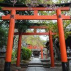 A red torii gate framed by cherry blossoms in Kyoto