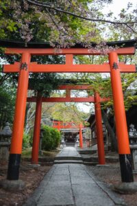 A red torii gate framed by cherry blossoms in Kyoto