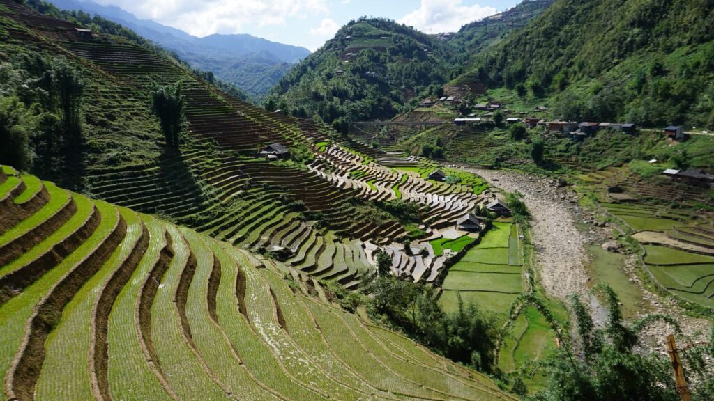 Explore the breathtaking rice terraces of Sa Pa, Vietnam, showcasing sustainable farming.