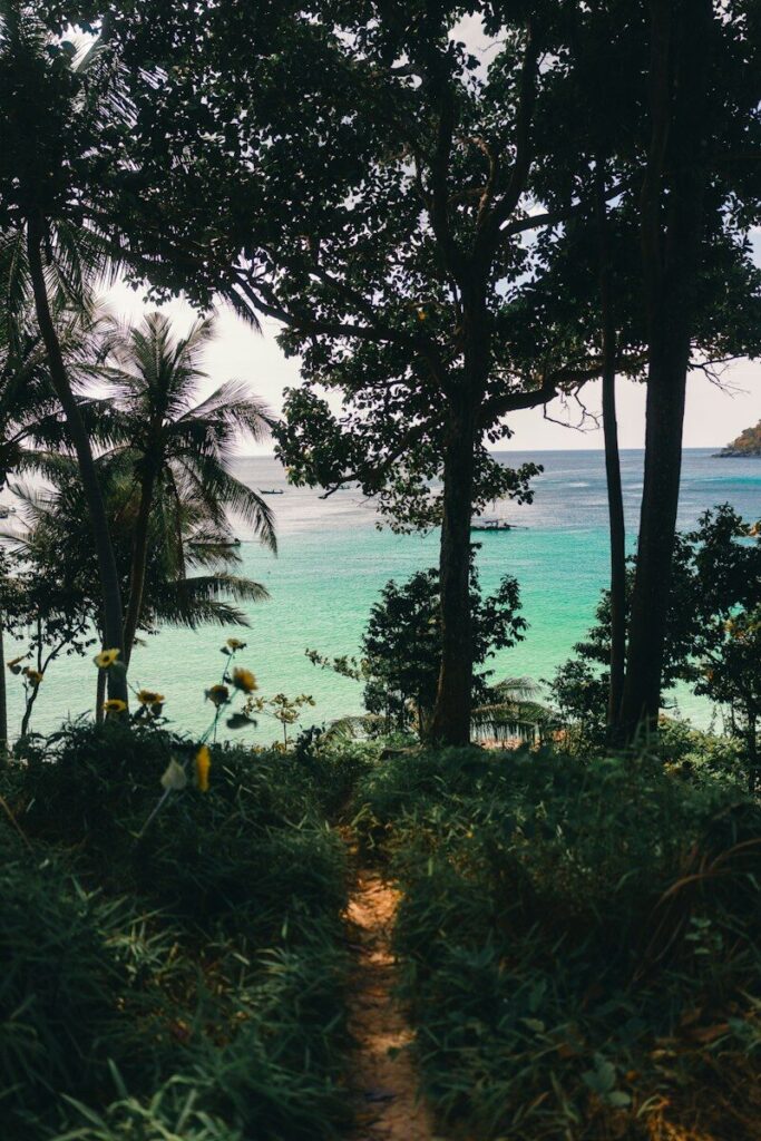 A shaded path leading down through greenery to a turquoise bay