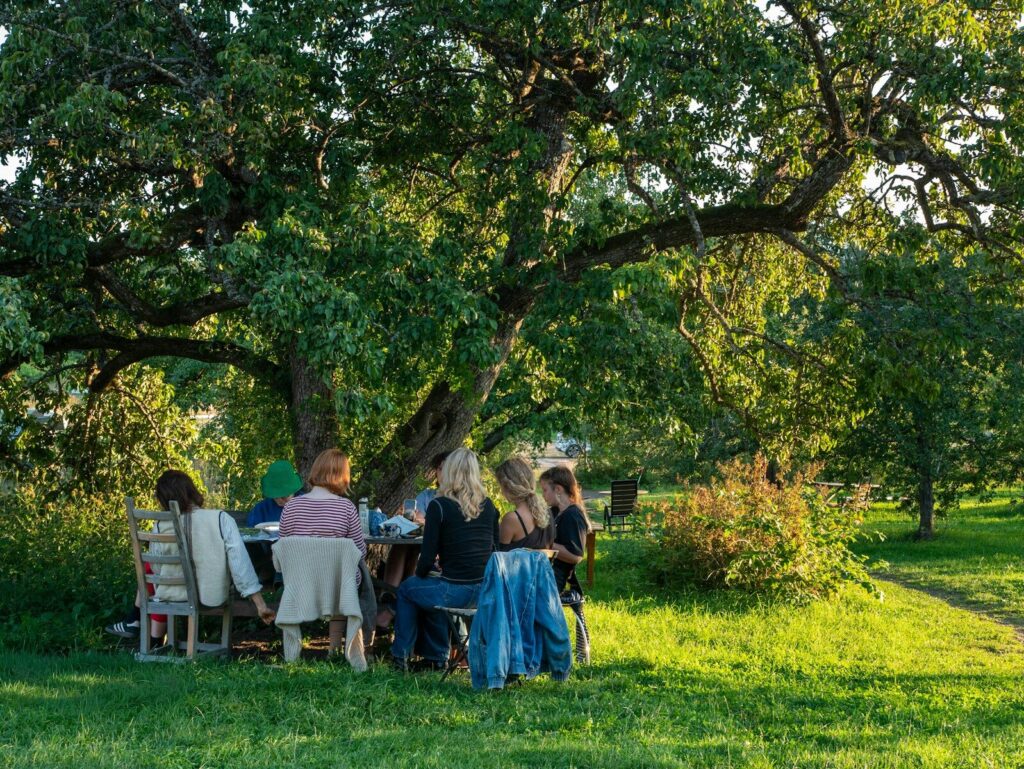 A small group gathered around a table under a large tree