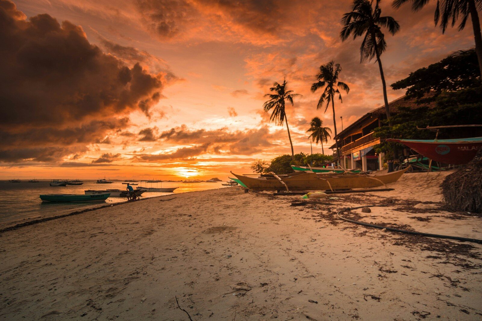 Palm trees and a sandy beach glowing orange at sunset on Koh Lipe, Thailand